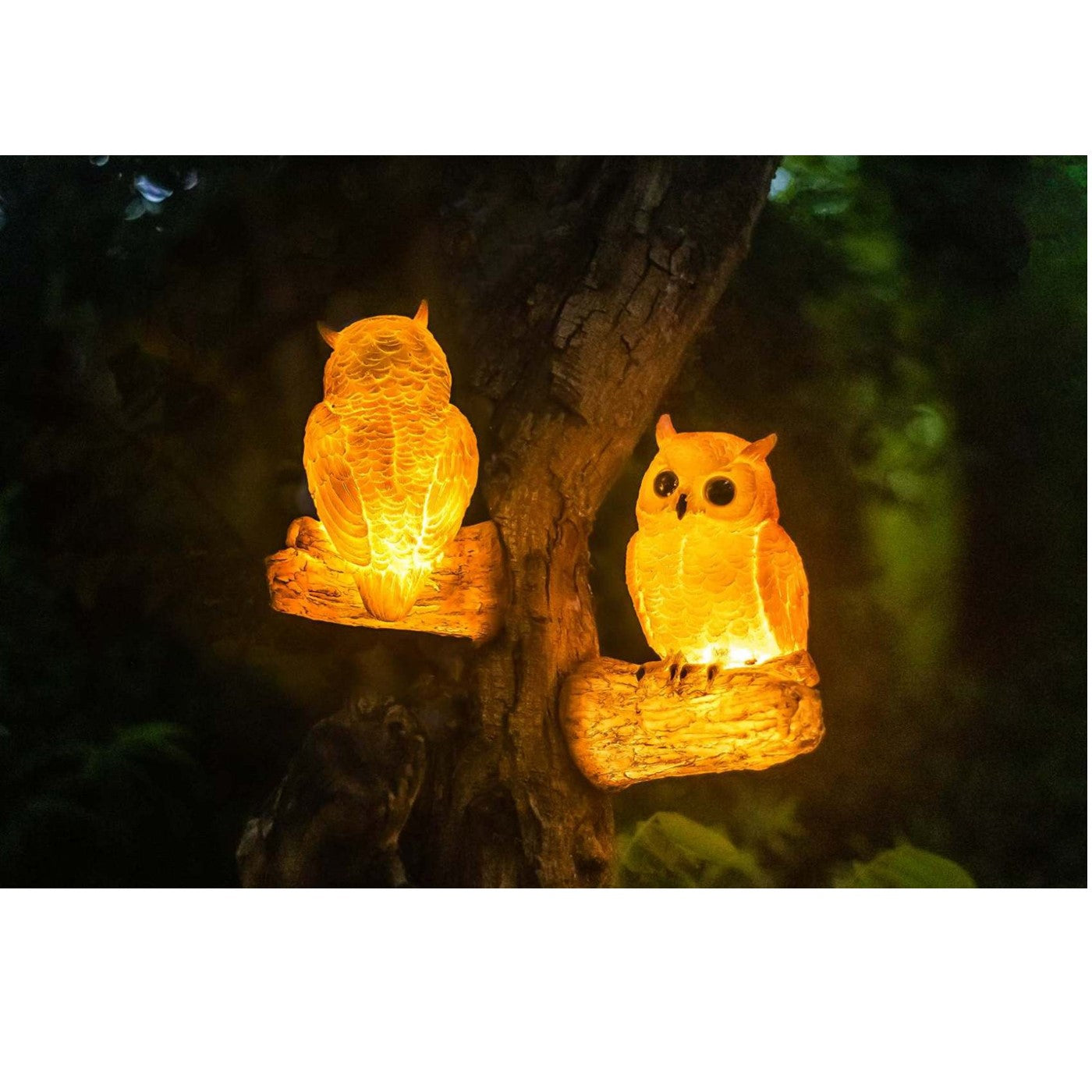 009-Owl Kids Wall Light