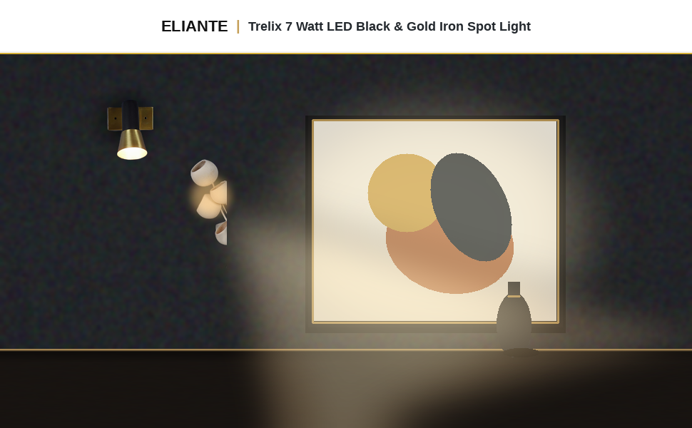 ELIANTE Trelix 7 Watt LED Black and Gold Iron Spot Light Hero Lifestyle