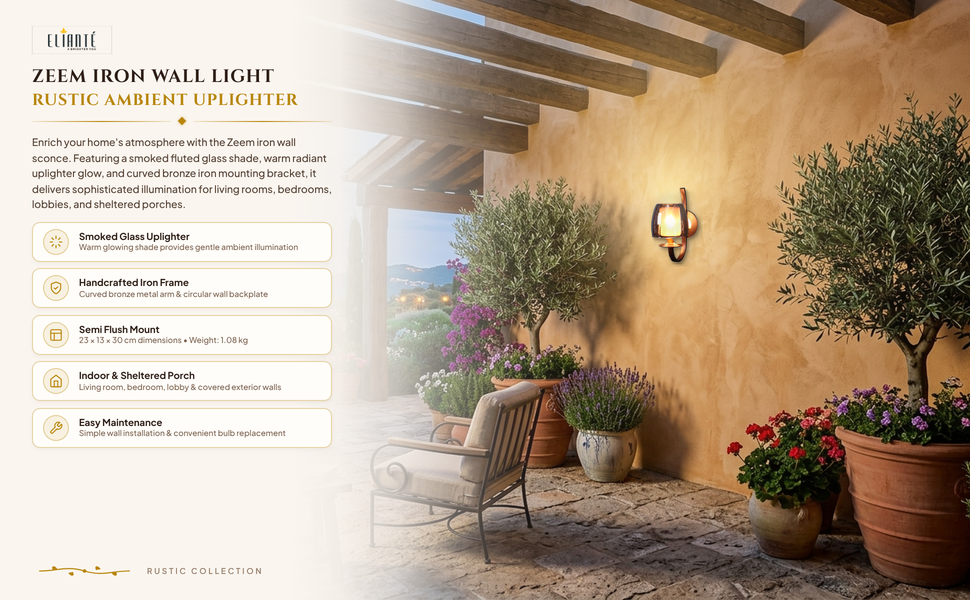 Zeem Iron Wall Light feature panel