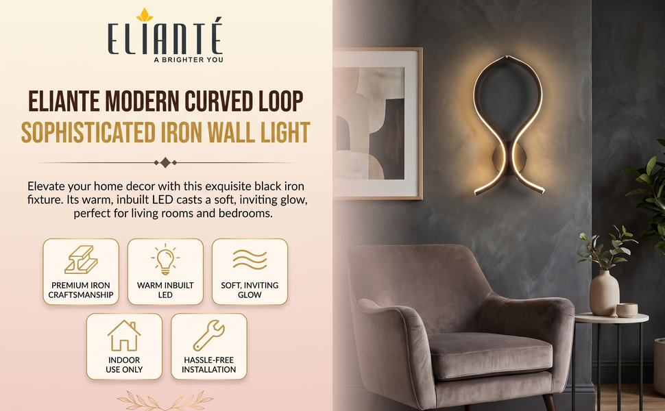 Modern Curved Loop Silhouette Iron Wall Light Black for Living Room Bedroom Foyer, Inbuilt Led,