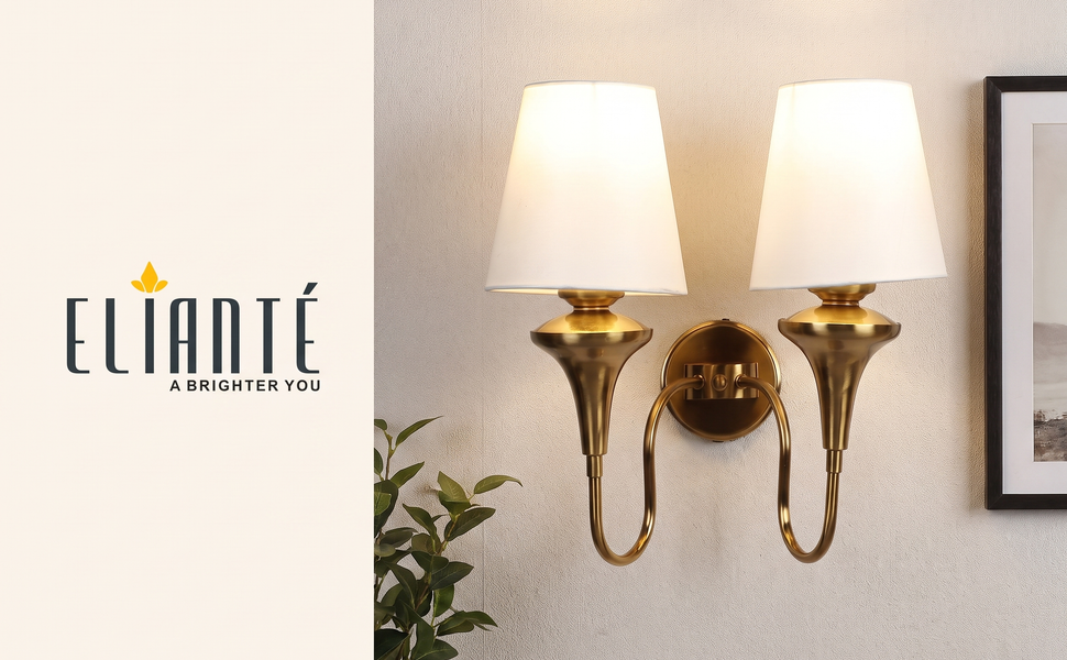 Modern Classic Double Shade Gold Iron Wall Light for Living Room, Bedroom and Foyer, E27 Holder,