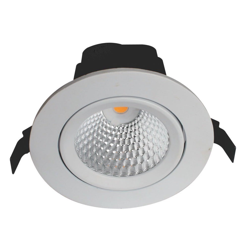 Representative photo: a recessed LED downlight of the type we supplied to Radisson Blu Plaza Delhi Airport