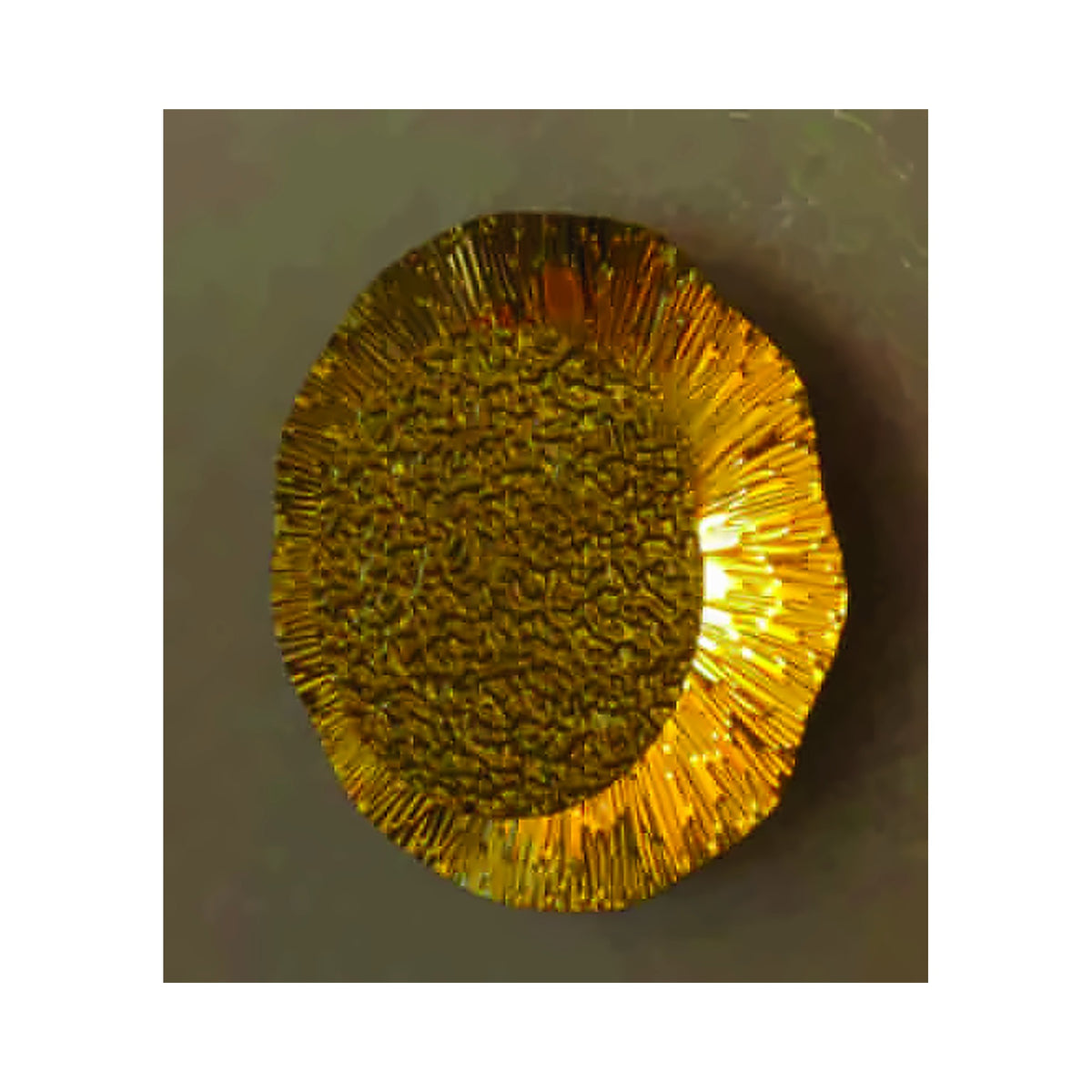 Eliante Textured Artistic Wall Light – Metal
