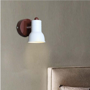 1022-1BR Picture Cum Mirror Light