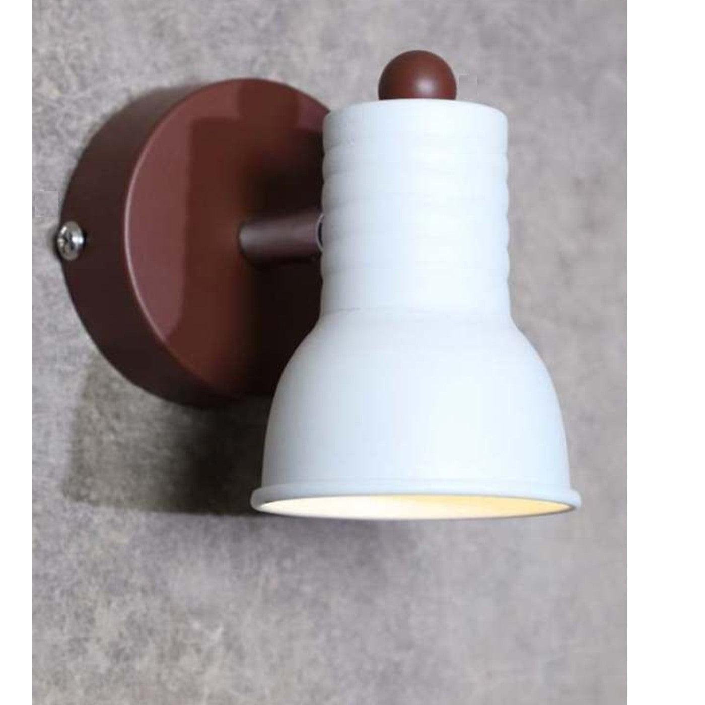 1022-1BR Picture Cum Mirror Light