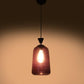 Eliante Botella Black Iron Hanging Light 1101-1LP