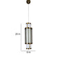 Eliante by Jainsons Lights-Led Hanging Lights-1117-1LP-Inbuilt LED
