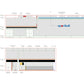 Sportball — wall elevations (vertical context for lighting design)