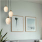 1650-3P Cluster hanging