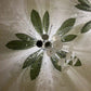 Frangipani Grove Glass Flush Chandelier – A Botanical Statement for Modern Ceilings