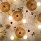 Amber Canopy Glass Wall Chandelier – An Illuminated Botanical Wall Sculpture