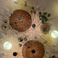 Amber Canopy Glass Wall Chandelier – An Illuminated Botanical Wall Sculpture