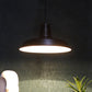 ELIANTE Black Iron Hanging Light - 1908-1LP