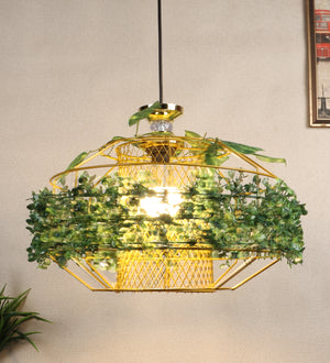 Eliante by Jainsons Lights | Black Iron Hanging Light | GRAIS-HL