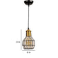 ELIANTE Raven Black Metal Hanging Light by Jainsons Lights - HL-46-1LP | by Jainsons Lights