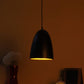 ELIANTE Black Metal Hanging Light by Jainsons Lights - Without Bulb - HL-012-HL-BK-GD | by Jainsons Lights