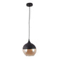 ELIANTE Glass Hanging Light Black for Living Room, Bedroom, Dining Room, Kitchen | by Jainsons Lights
