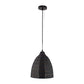 ELIANTE Modern Metal Black Hanging Light Hanging Pendant Light for Home | by Jainsons Lights