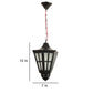 ELIANTE Raven Black Metal Hanging Light by Jainsons Lights - HURR-ICANE-1LP-JSL | by Jainsons Lights