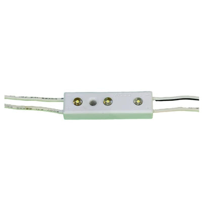 LAVOV FM-0765-0.25wx100 Pcs IP44 12v 3 led Led Signage Module | by Jainsons Lights