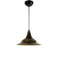 ELIANTE Raven Metal Hanging Light Black for Living Room, Bedroom, Dining Room, Kitchen | by Jainsons Lights