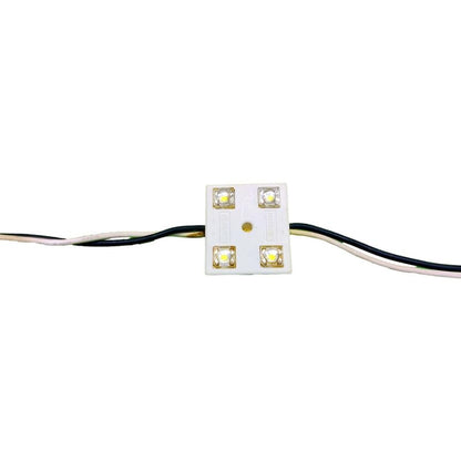 LAVOV Led Signage Module 0.5w x 100 Pcs IP44 12v 4 Led - Cool White | by Jainsons Lights
