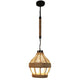 ELIANTE Gloomy Black Iron Hanging Light by Jainsons Lights - JSL-1909-1LP - Without Bulb | by Jainsons Lights