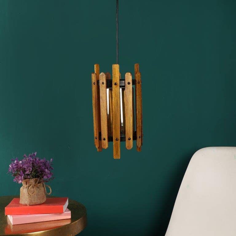 ELIANTE Gloomy Metal Hanging Light Black for Living Room, Bedroom, Dining Room, Kitchen | Z-106-1LP-JSL