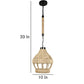 ELIANTE Gloomy Black Iron Hanging Light by Jainsons Lights - JSL-1909-1LP - Without Bulb | by Jainsons Lights