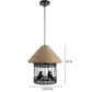 ELIANTE Black Metal Hanging Light by Jainsons Lights - Without Bulb - RA-413-1P | by Jainsons Lights