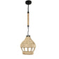 ELIANTE Gloomy Black Iron Hanging Light by Jainsons Lights - JSL-1909-1LP - Without Bulb | by Jainsons Lights
