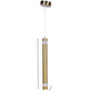 ELIANTE by Jainsons Lights | Sovira Gold Iron Hanging Light | Inbuilt LED