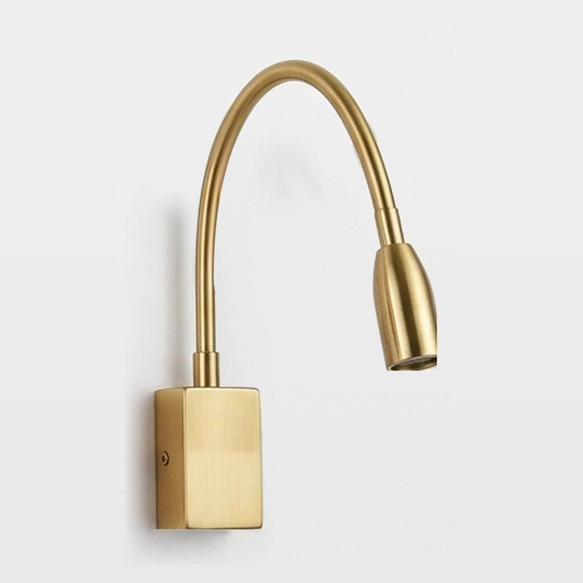 Flexible Gooseneck Wall Light – Antique Brass