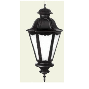 50039-Large Outdoor Hanging Light