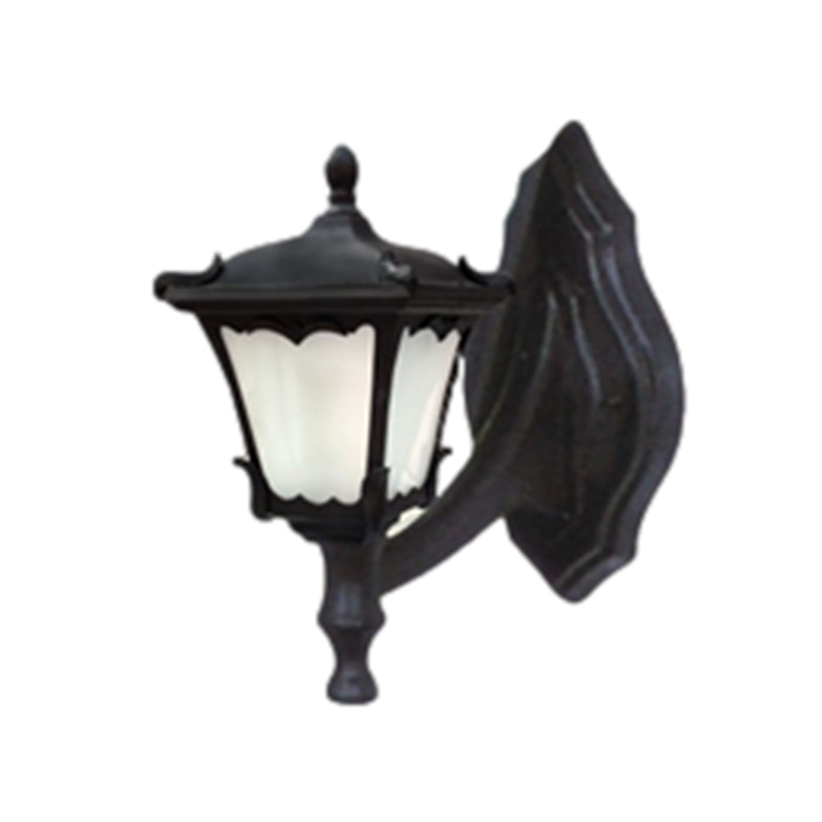 50066-Medium Decorative Outdoor Wall Light