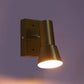 ELIANTE Novixa 7 Watt LED Gold Iron Spot Light | Inbuilt LED | Wall Down Lighting for Kitchens Island Museums Offices Ceiling Lamp