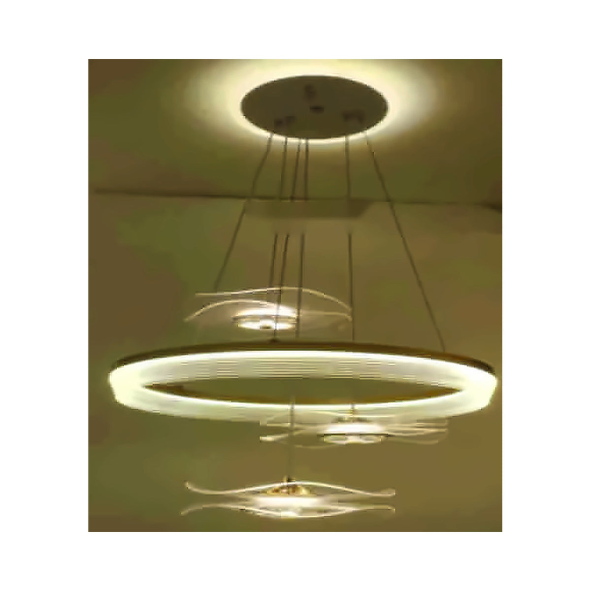 Eliante Petal LED Ring Pendant Light – Clear Acrylic, Metal