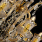 JSPHILO 6-302-8xE14 Shine Candle Arm Chandeliers