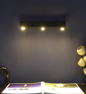 ELIANTE Avarix 2X3 Watt LED Black Iron Spot Light | LED Wall Spot Light Indoor Downlight Wall Spot Lamps Adjustable Accent Wall Down Lighting for Kitchens Island Museums Offices Ceiling Lamp