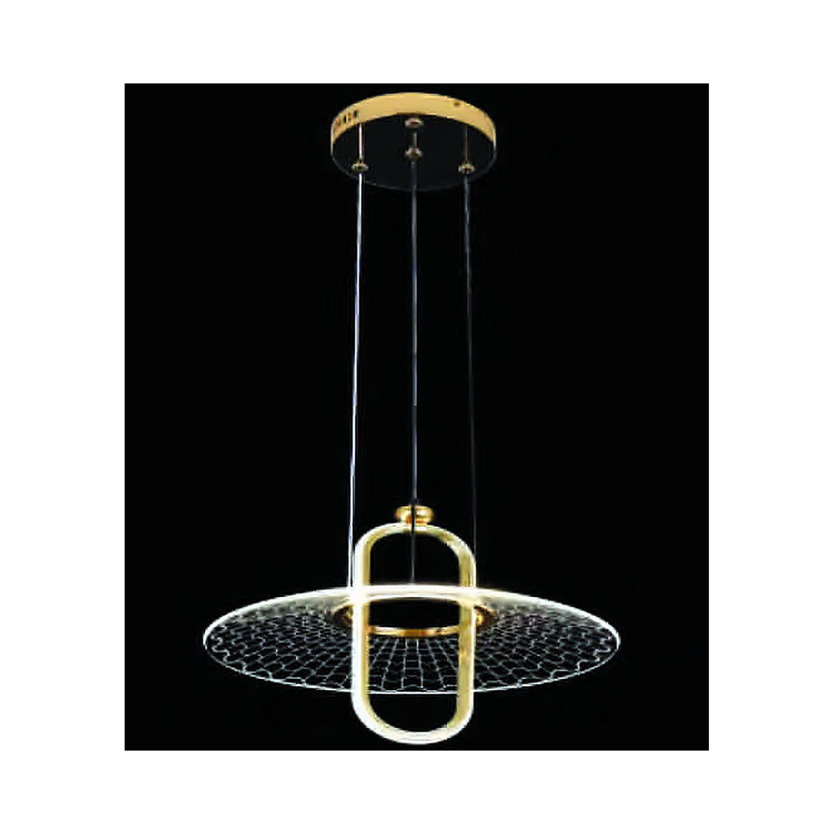 Eliante Oval LED Ring Pendant Light – Clear Acrylic, Metal