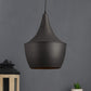 Black Iron Hanging Lights by Eliante by Jainsons Lights |