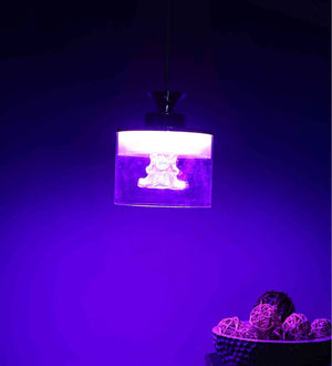 Florea Chrome Iron Hanging Light  | Inbuilt LED |  | Eliante by Jainsons Lights