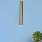 Lunara Gold Iron Hanging Light  | Inbuilt LED |  | Eliante by Jainsons Lights