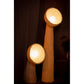 Designer Bamboo, Rattan & Jute Lights – Latest Catalogue & Price List (Bulk & Project Orders)