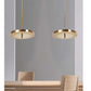 8573D Led Hanging Light
