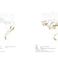 AIRY Suspension Collection - S1 and S2 compositions