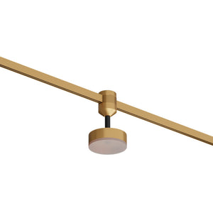 Amberdiffusedmovablespot-10W| Eliante by Jainsons Lights