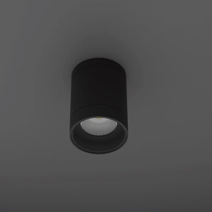 Can-02-12W| Eliante by Jainsons Lights