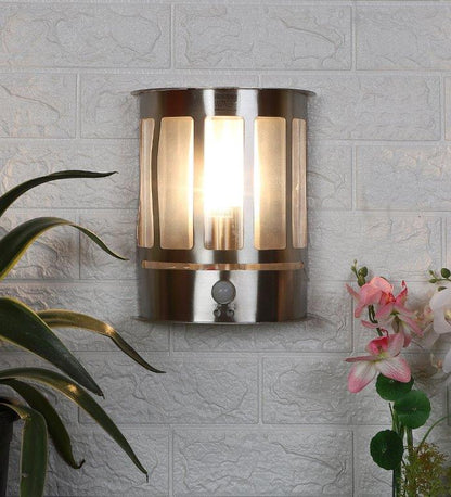 Eliante Caliente Silver Mild Steel Outdoor Wall Lights DH71-212