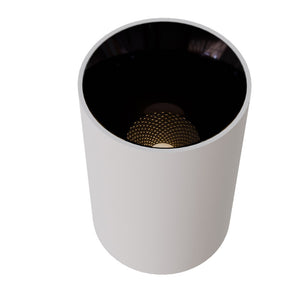 JS-TRL Dupple-F 18w Round Fixed Surface Cob Spot Light